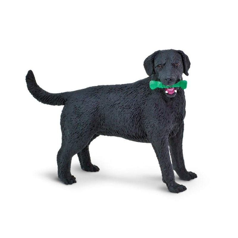 Black Labrador Toy