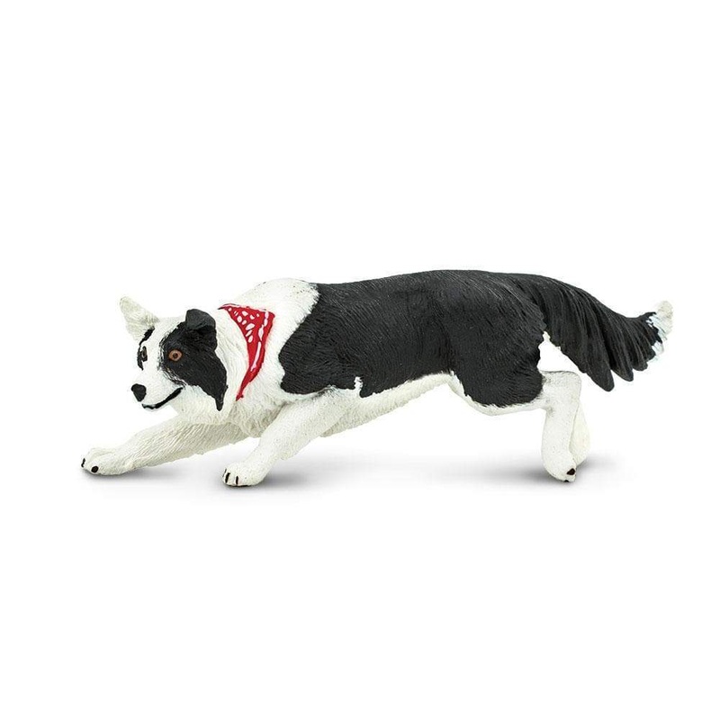 Border Collie Toy