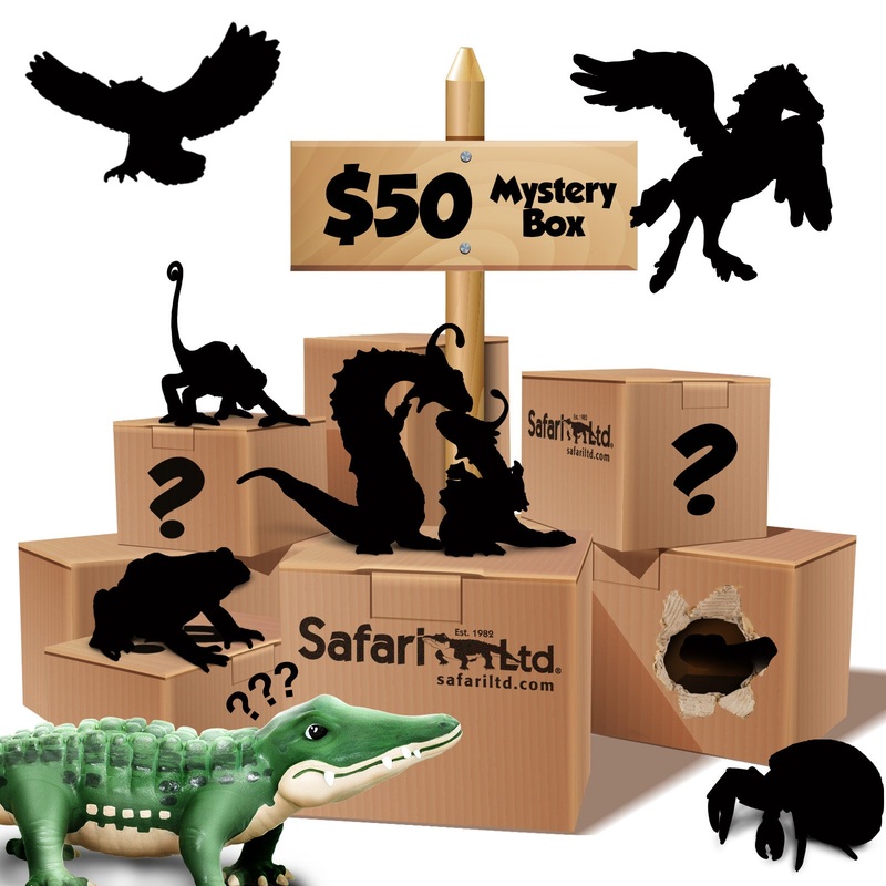 $50 Mystery Box