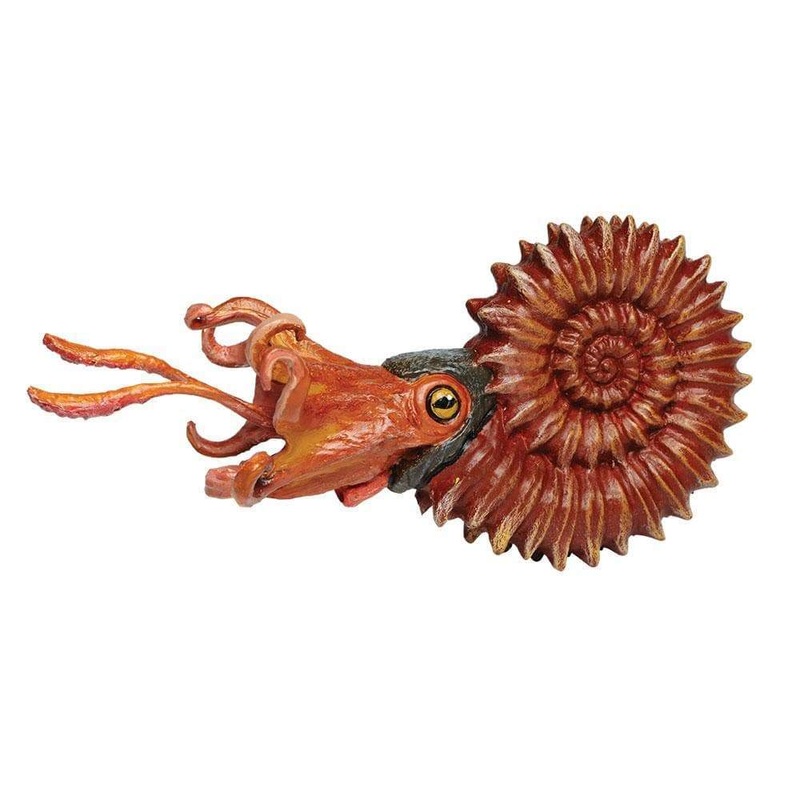 Ammonite Toy