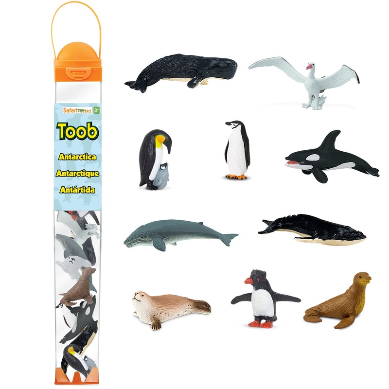 Antarctica TOOB
