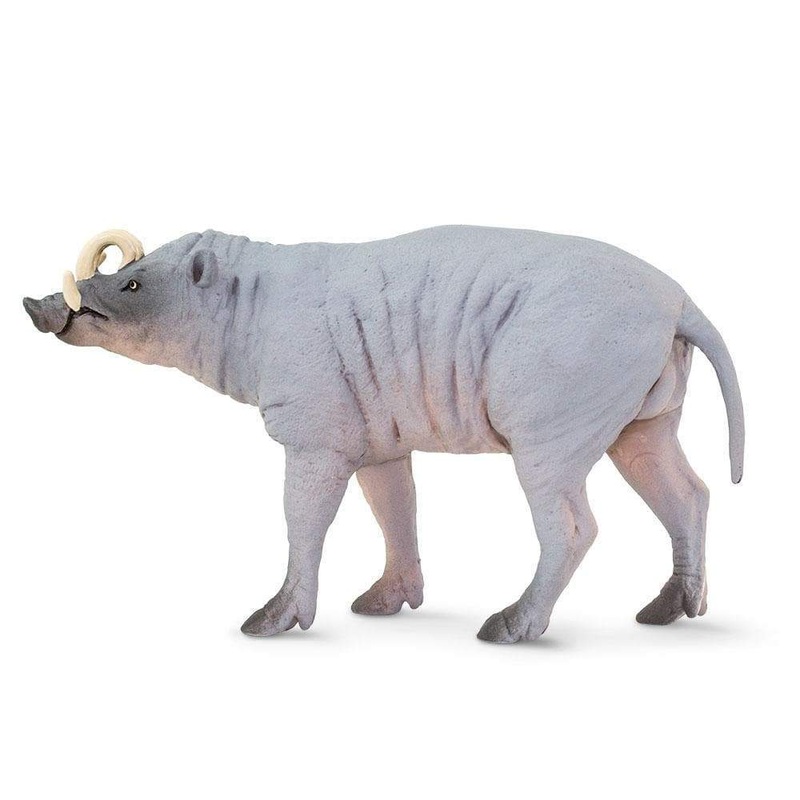 Babirusa Toy