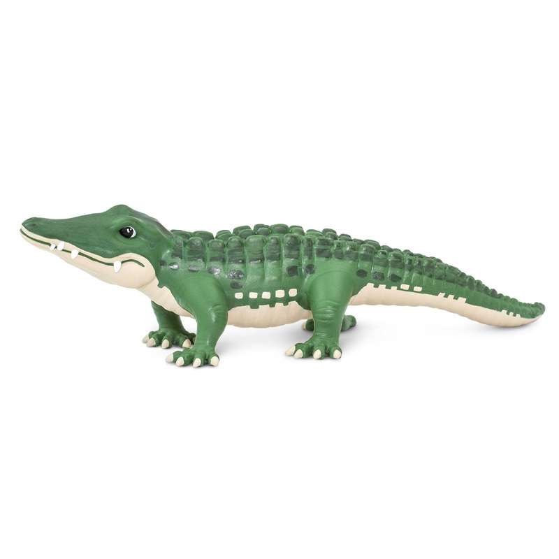 Bernie Toy