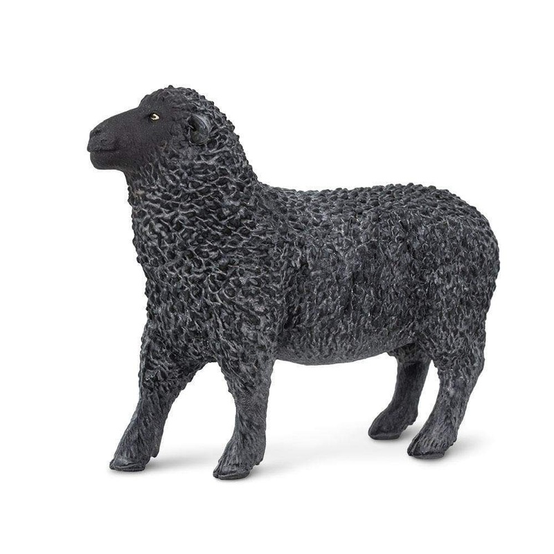 Black Sheep Toy