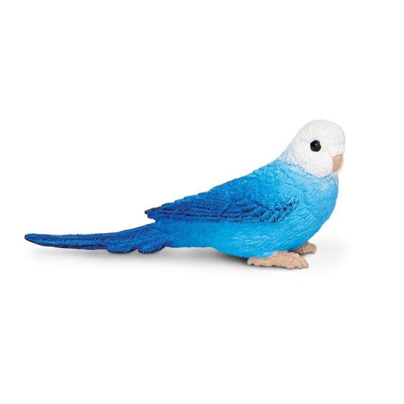 Blue Budgie Toy