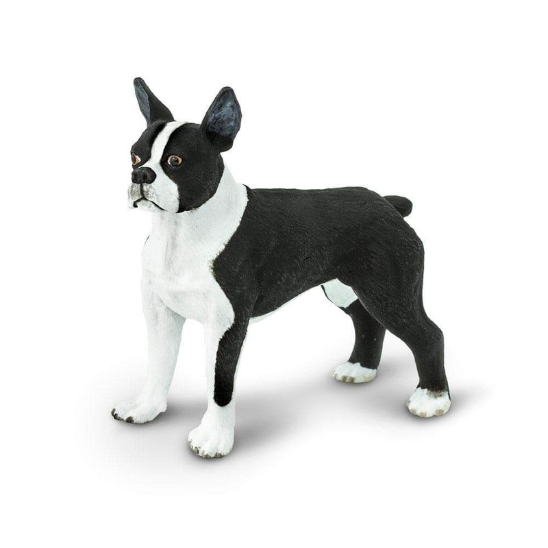 Boston Terrier Toy