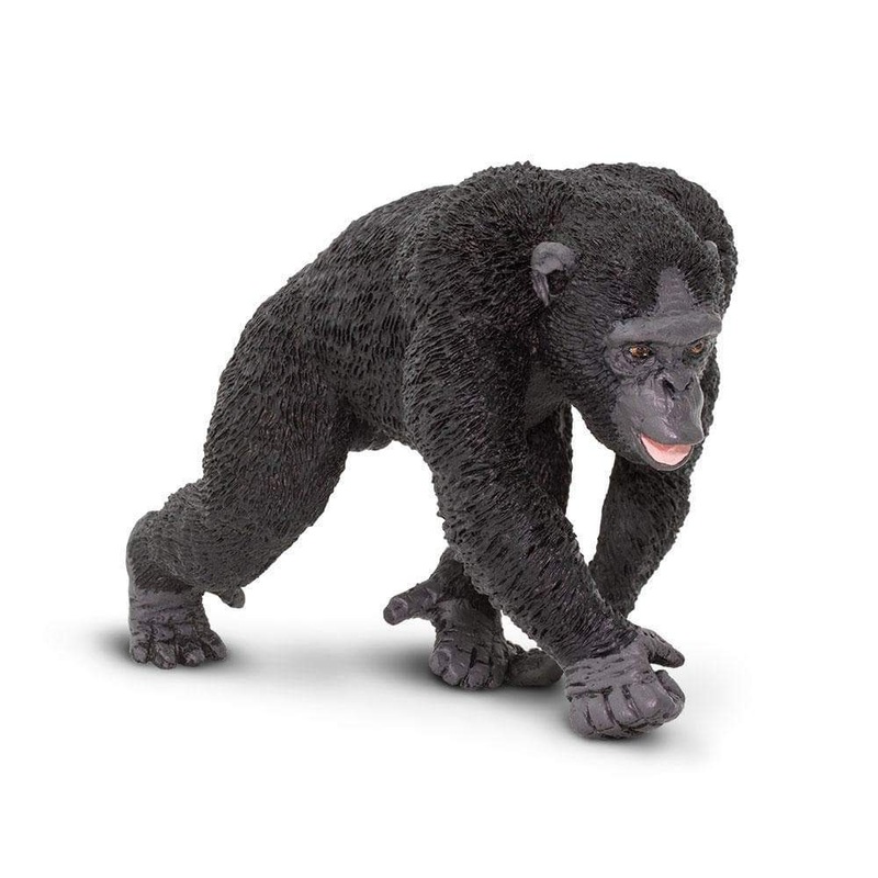 Chimpanzee Toy
