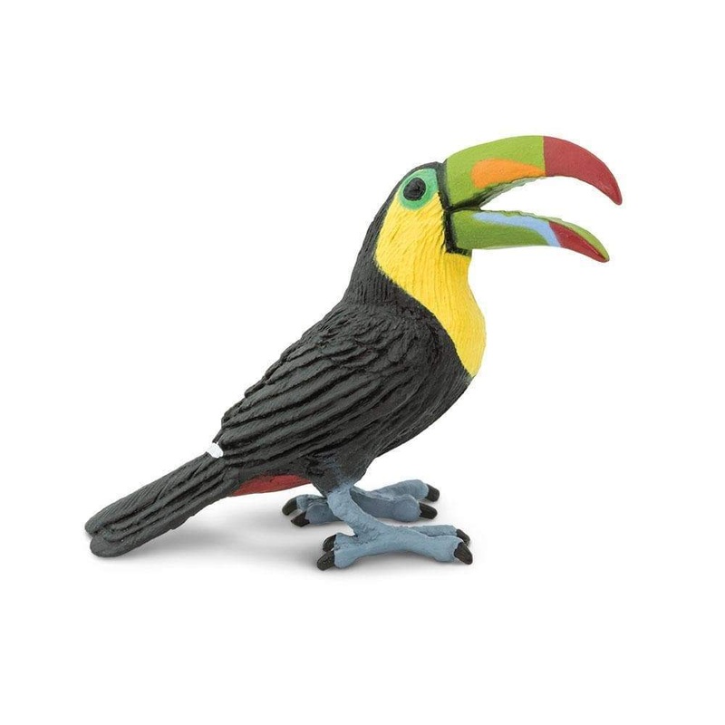 Toucan Toy