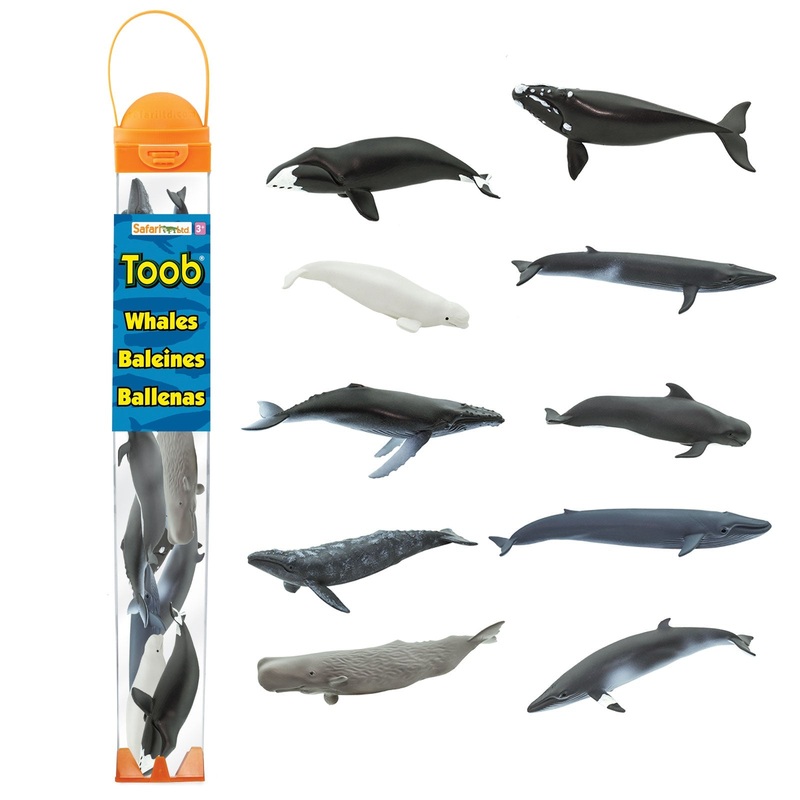Whale Toys TOOB