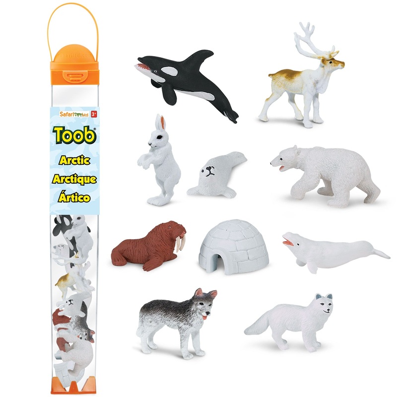 Arctic TOOB