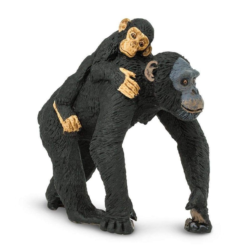 Chimpanzee with Baby Toy