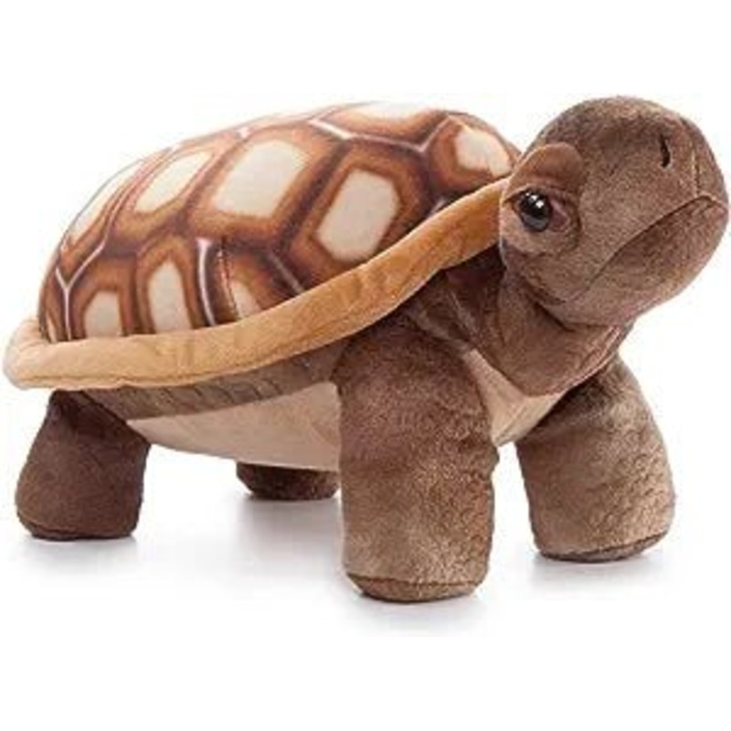 14" (35cm) Wild Onez Desert Tortoise