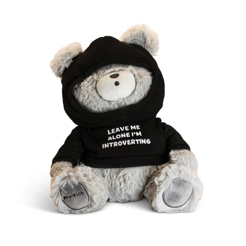 Punchkins - Teddy Bear - Leave Me Alone I'm Introverting