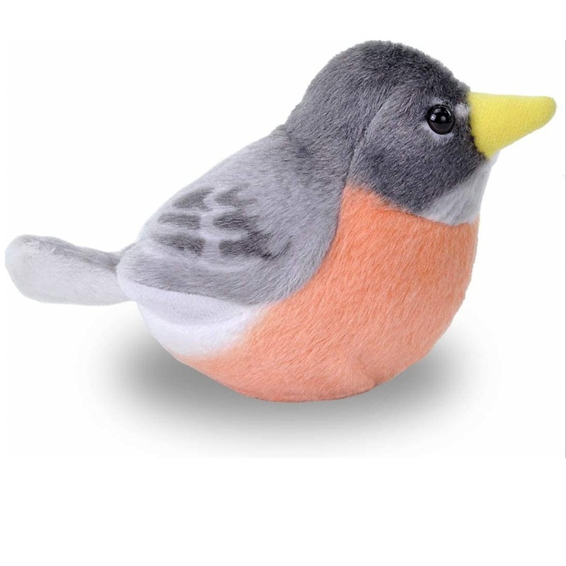 Audubon Birds - American Robin