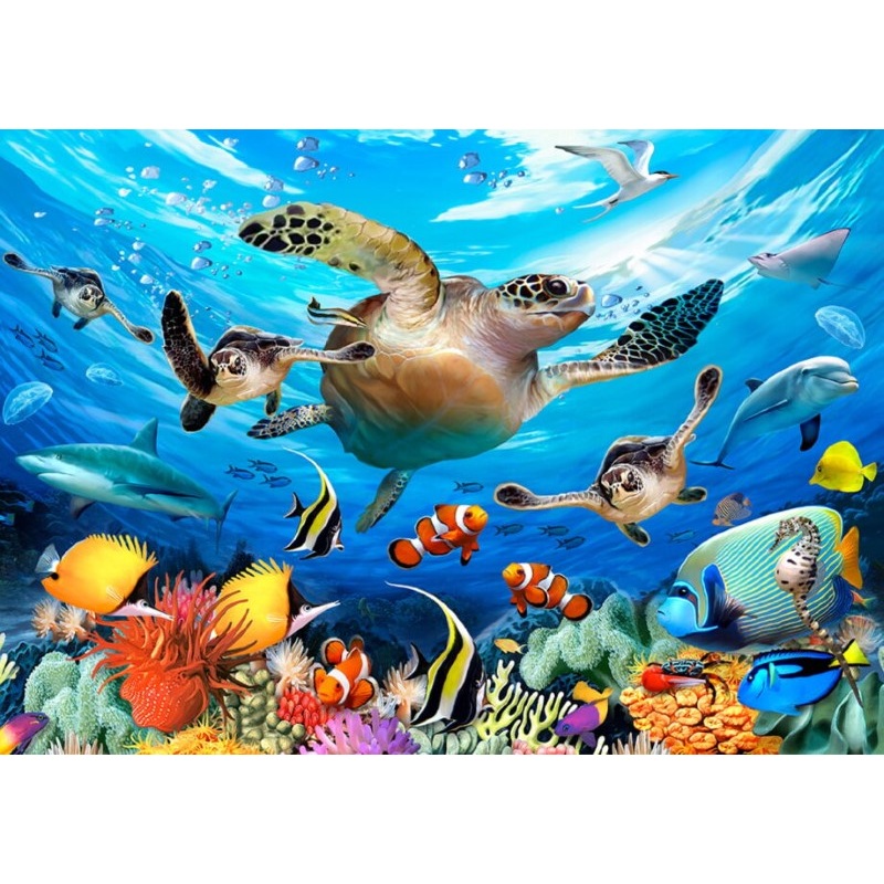Ocean Life L