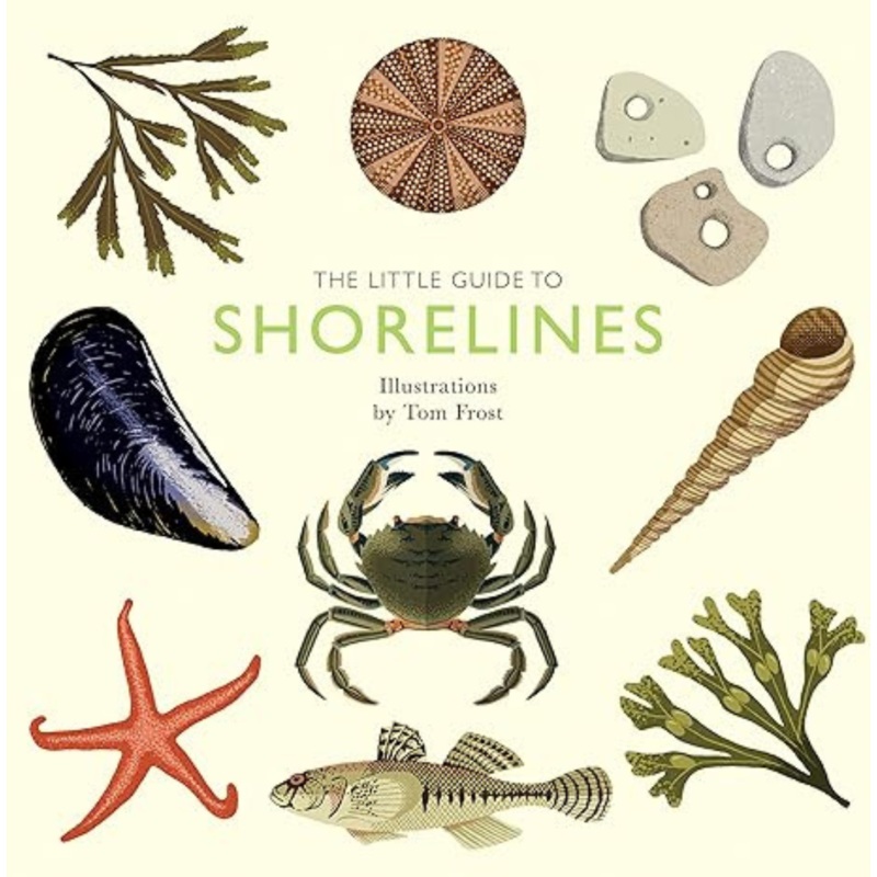 Little Guide to Shorelines