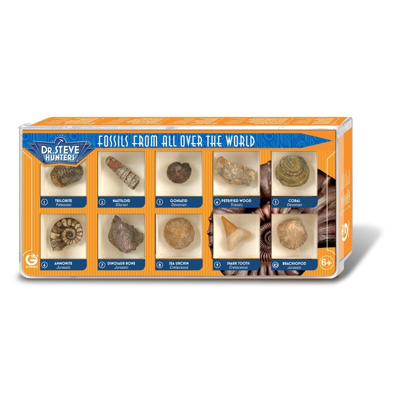 Dr. Steve Hunters Fossils from All Over the World  - 10 Fossils Science & Education Toy Set