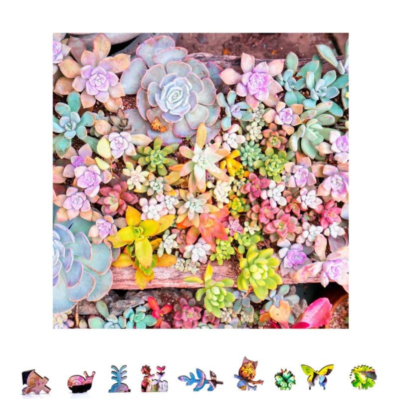 ZenChalet - Garden Succulents - 500 PC Puzzle