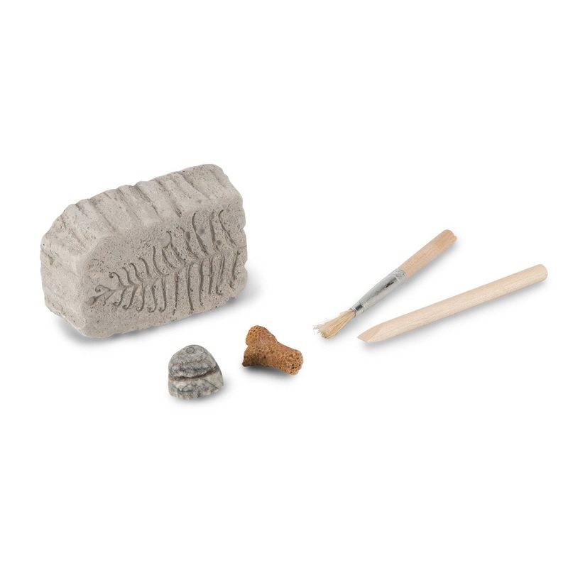 Fossil Dig Paleontology Kit