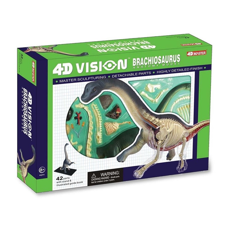 4D Vision Brachiosaurus Anatomy Model