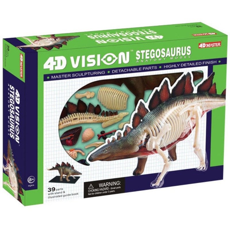 4D Vision Stegosaurus Anatomy Model