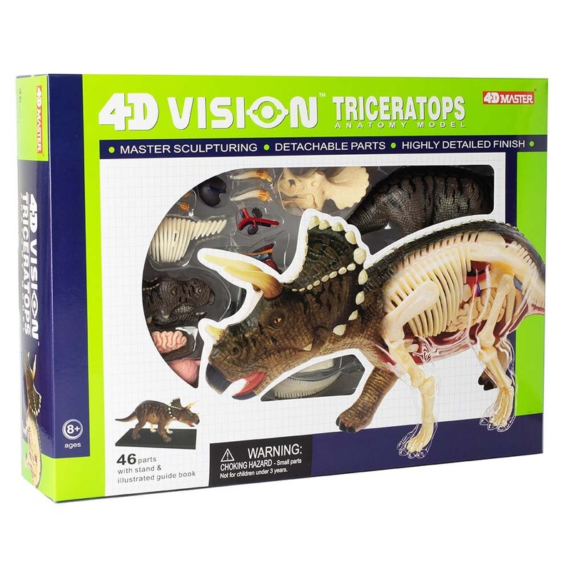 4D Vision Triceratops Anatomy Model