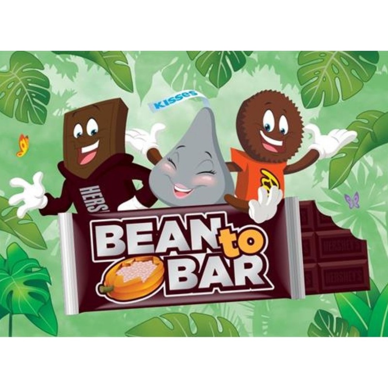 Bean to Bar Book
