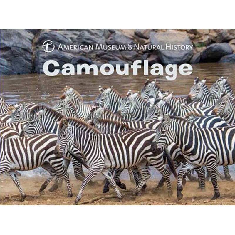 Camouflage Book