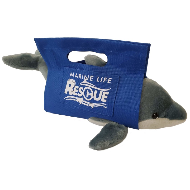Dolphin in Rescue Stretcher