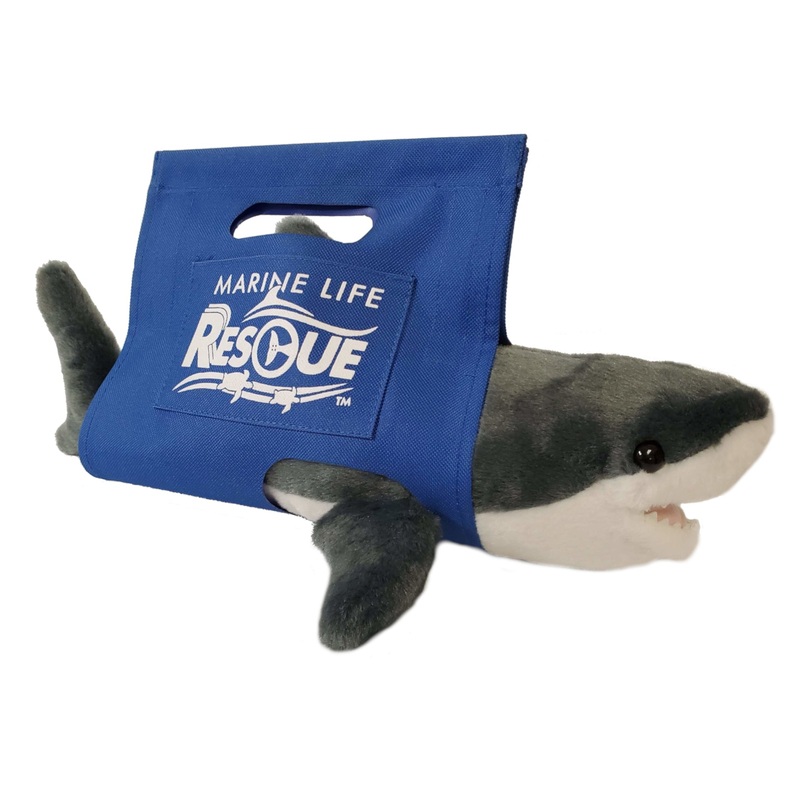 Shark In Rescue Stretcher