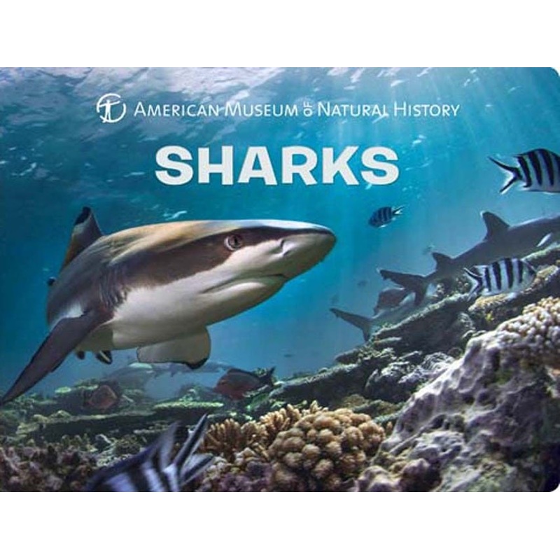 Sharks Book