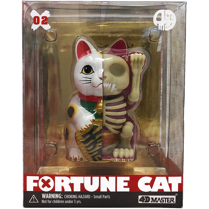4D Fortune Cat Anatomy Model