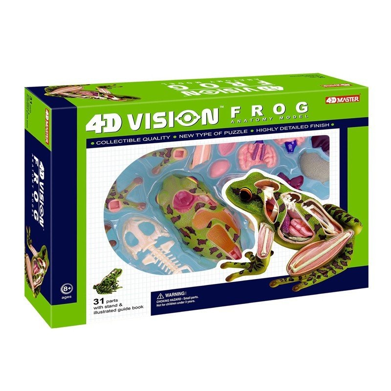 4D Vision Frog Anatomy Model