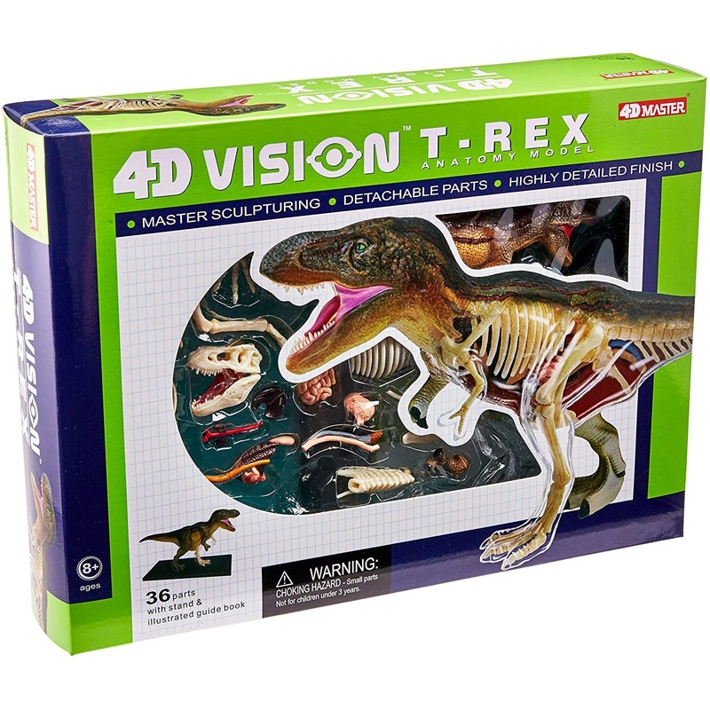 4D Vision T-Rex Anatomy Model