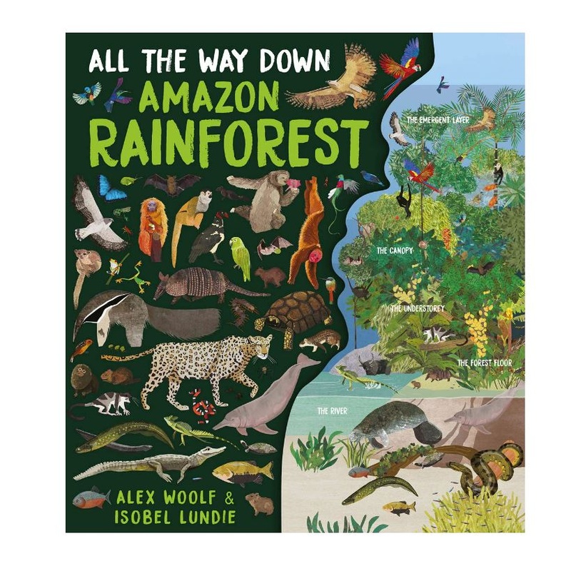 All the Way Down: Amazon Rainforest Book