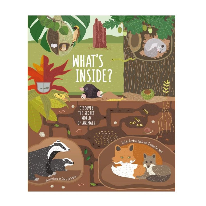 What's Inside: Discover the Secret World of Animals Book