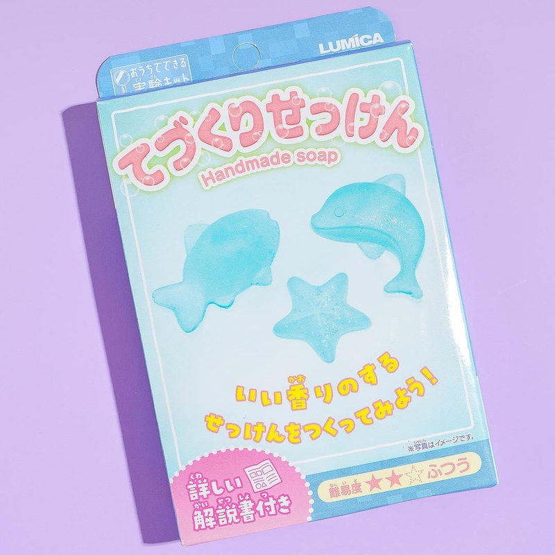 Tanoshii Handmade Soap DIY Kit