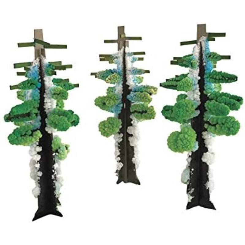 Crystal Growing Redwood Forest