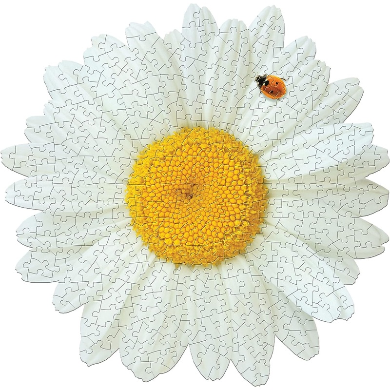 I Am Daisy - 350 pc. Puzzle