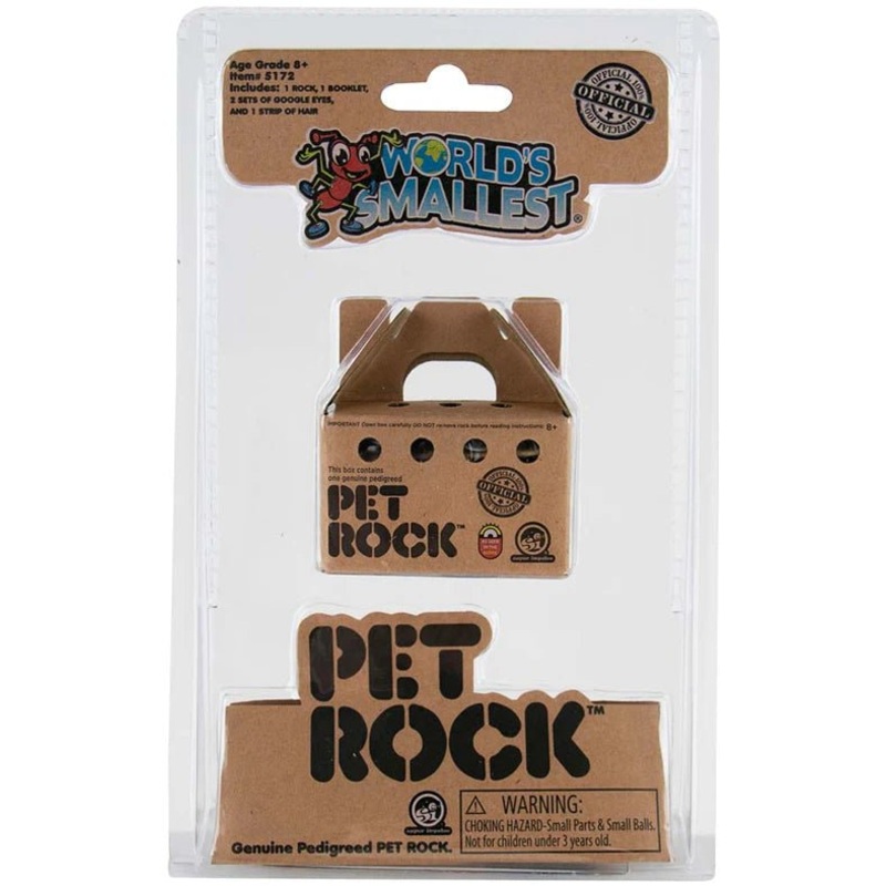 World's Smallest Pet Rock