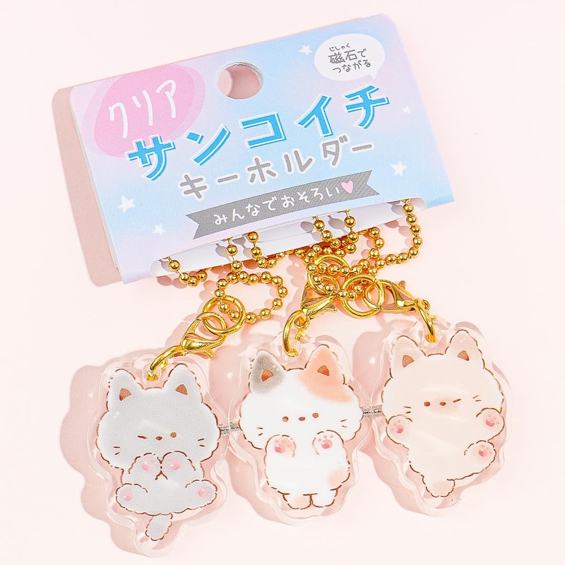 Asobu Neko Charm Set