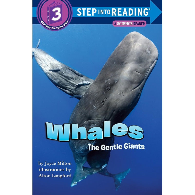 Whales: The Gentle Giants